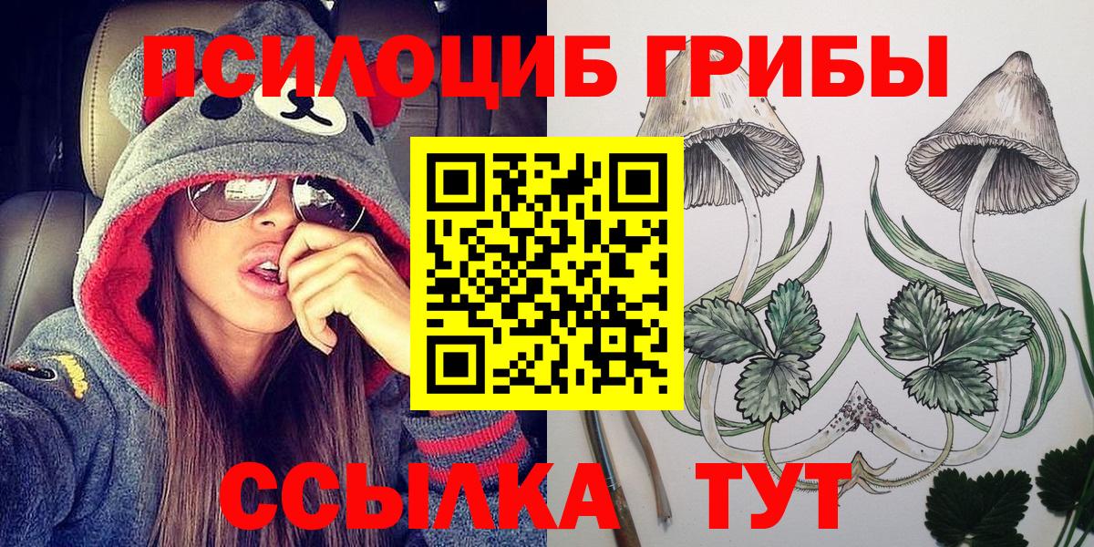 Галлюциногенные грибы ЛСД  что такое   Псилоцибиновые грибы GOLDEN TEACHER  Бердск  Вход с VPN 